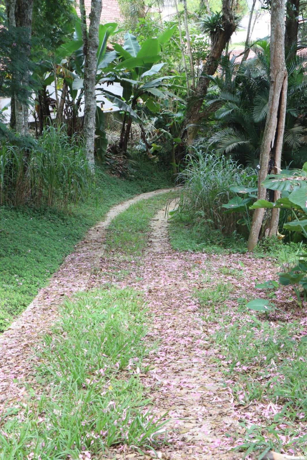 Estalagem Do Rancho Hotel Miguel Pereira Eksteriør billede